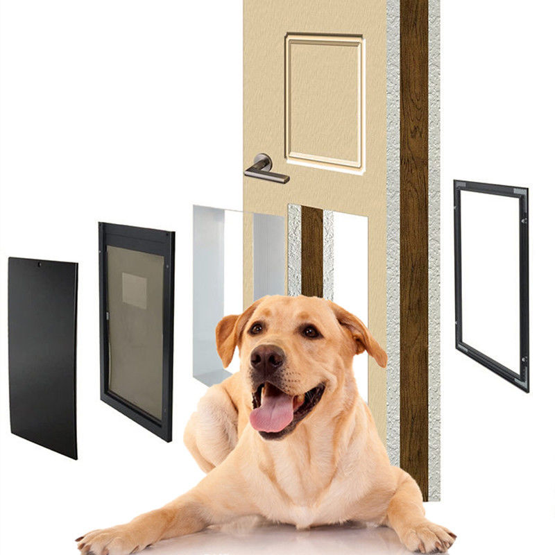 ISO9001 PET 안전 알루미늄 PET 문 4면 닫기 자기 잠금 개 문